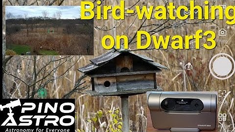 Dwarf 3: Features for Bird Watching & Wildlife viewing #PinoAstro #Dwarf3