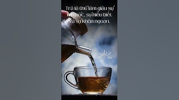 Trà Thái nguyên món quà của thiên nhiên | Trà ngon Hải Phòng