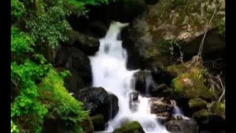 سورة الملك - إدريس أبكر Al-Mulk - Idriss Abkar