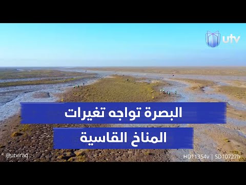 تنتفع منها حيوانات البر والبحر البصرة تواجه تغيرات المناخ القاسية بزراعة مليون شجرة مانغروف
