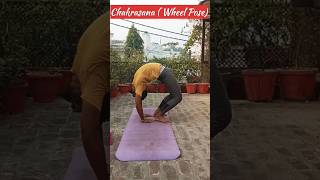 Practice of Chakrasana | How to do chakrasana | youtubeshorts trending shorts chakrasana