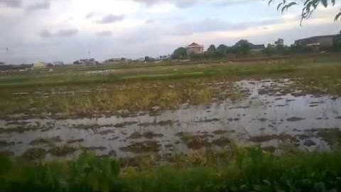 Video Full HD 546