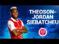 Theosonjordan siebatcheu  all goals assists  skills  20172018  reims