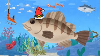 【カサゴ釣り🐟】穴という穴を探りまくる👀