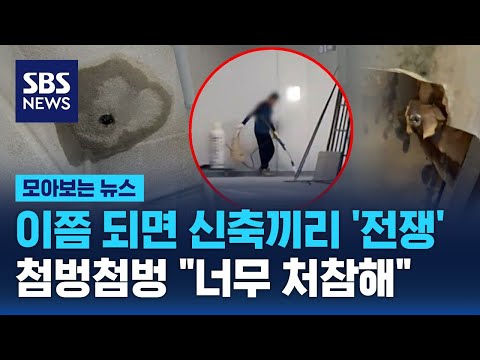 이쯤 되면 신축끼리 &amp;#39;전쟁&amp;#39;…첨벙첨벙 &amp;quot;너무 처참해요&amp;quot; / SBS / 모아보는 뉴스