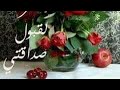 اهلا بيكوا اهلا بيكوا