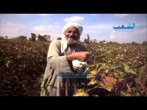 لقاء الحاج عبد المنعم الصياد أمين الفلاحين لحزب الاستقلال بكفر الشيخ الجزء الثالث