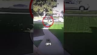 UPS Driver Saves Little Boy