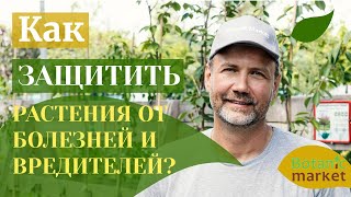 Защита растений от болезней и вредителей. Что делать при болезни хвойных? Профилактика болезни роз.