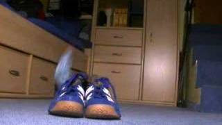 Klaus-Shoes