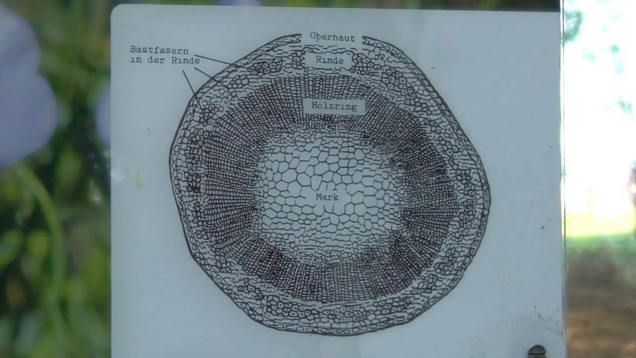 Kulturdenkmal Flachsröste Wahnenbusch bei Erkelenz