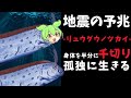 深海のレア度神クラス「リュウグウノツカイ」に転生【ずんだもん&ゆっくり解説】