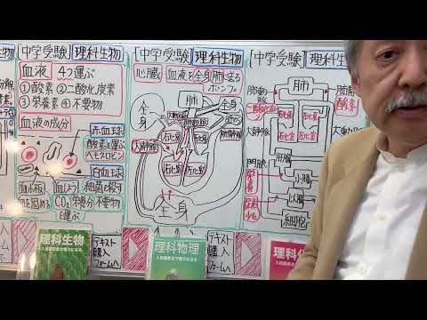 中学受験さくららチャンネル - YouTube