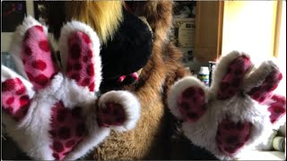 Renn meets Covid-19 part 3 - Wash Paws