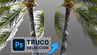 TRUCO para Seleccionar Árboles 🌴 en Photoshop