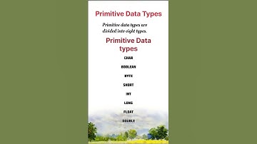 what is primitive DataType in java.  #shorts #java #fullstack #interview #questions #answer #coding