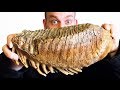 Woolly Mammoth Tooth with a 60,000 PSI Waterjet - Giveaway