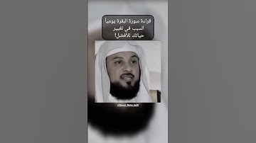 فضل قراءة سورة البقرة يومياً #محمد_العريفي شارك المقطع واكسب الأجر👍🤍 #سورة_البقرة