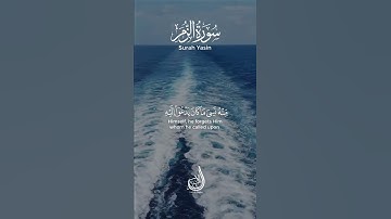واذا مس الإنسان ضر دعا ربه منيبا إليه | سورة الزمر | بلال الشاكر