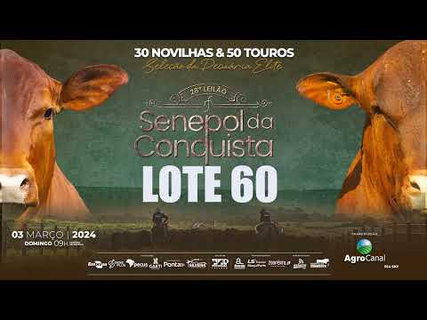 LOTE 60 CONQ 3023