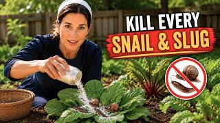 The $2 Amish Powder That Kills Voles, Squirrels & Rats... Pest Control Companies HATE This Method!