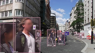 Mathematica RetinaNet Demo