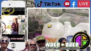 Old School's Castio Contest Grow Episode 1: Transplant