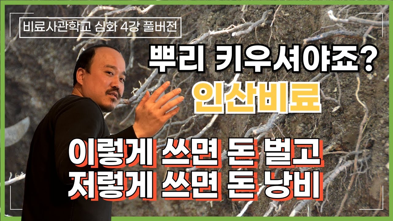 풀버전) 인산비료 이렇게 쓰세요 잘 쓰고 있는 사례 모아서 알려드립니다 인산비료 역할,  인산 효능을 올리는 방법 | 비료사관학교 4편 풀버전 | 농사 100단