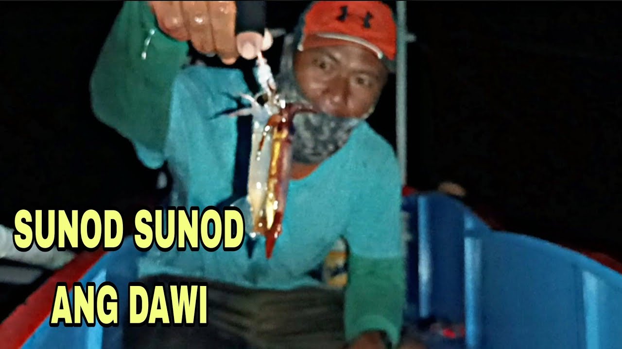 Sunod sunod ang sibad ng pusit