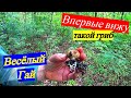 По грибы в лес Весёлый гай !!! Ужасный лес с кабанами !!! Стоит ли суда ехать ???