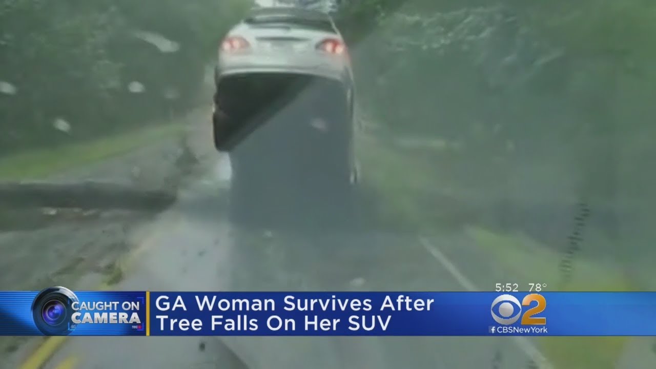Woman Survives After Tree Falls On Her SUV - YouTube