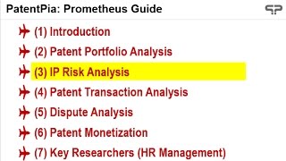 PatentPia Prometheus : Guide 3-2 High Risk Patents