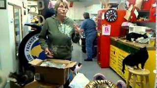 FFRC Boxes & Updates 10-19-12