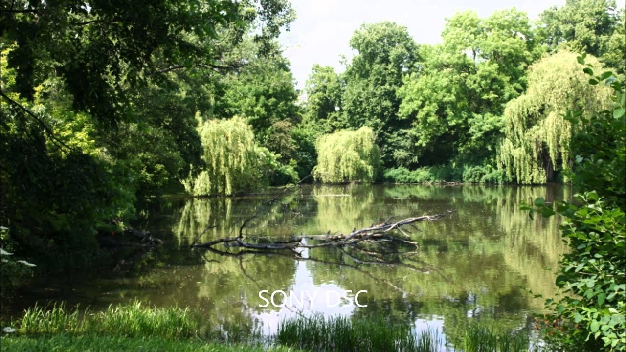 DOMELLO - PEG O'MY HEART