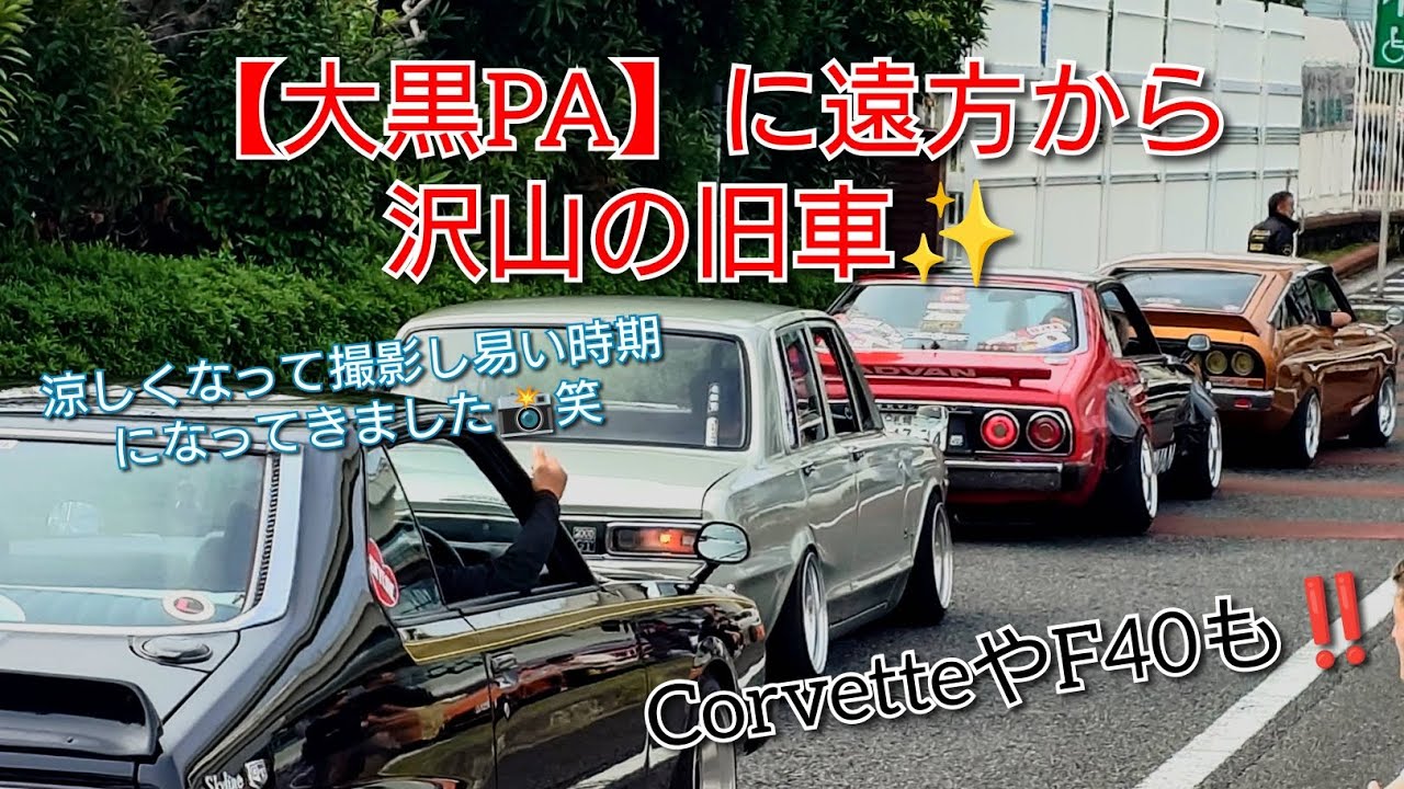 【大黒PA】旧車が続々✨  #大黒pa #Daikoku #旧車 #街道レーサー #oldcars #旧車會 #JDM #japanesecar 