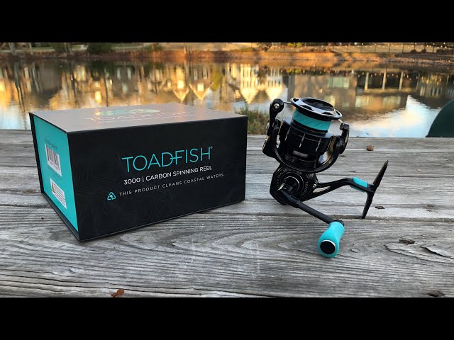 Is a ToadFish Fishing Rod and Reel Actually Worth the Money? 