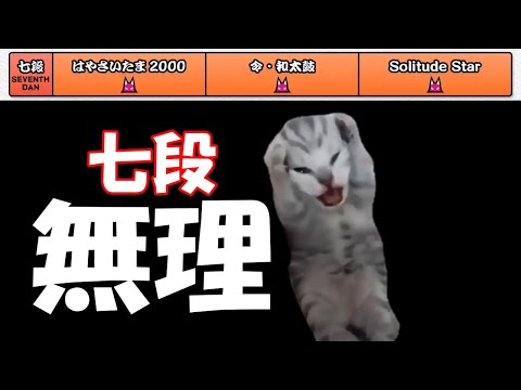 猫ミームで見る2024赤段位の全良難易度【太鼓の達人】