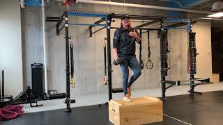 DB Single Arm Russian Step up