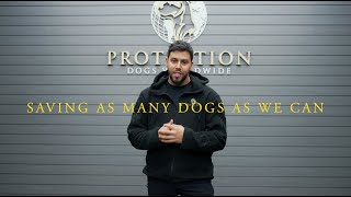 Saving as many dogs as we can! 🖤 by Protection Dogs WorldWide 2,362 views 4 months ago 1 minute, 1 second