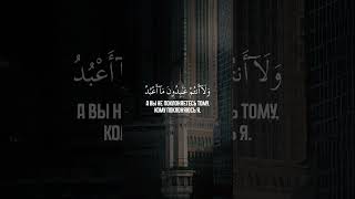 ﷽     Сура 109 Аль-Кафирун. Нур-Али аш-Шишани