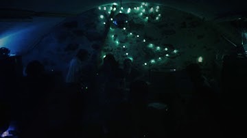 Dead End Friends - Digital Memory File (Mile Me Deaf Cover)