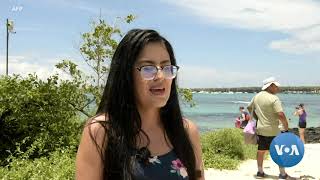 Fighting Plastic Pollution Bit by Bit