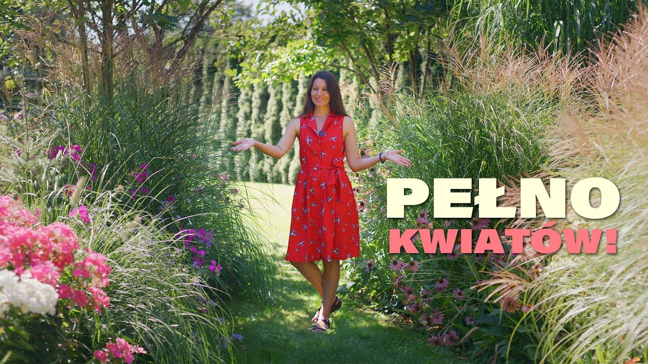 Klasyczne byliny lata czyli kwitnienie przez długie tygodnie bez żadnych problemów.