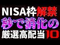 NISA枠解禁!秒で消化の厳選高配当10銘柄
