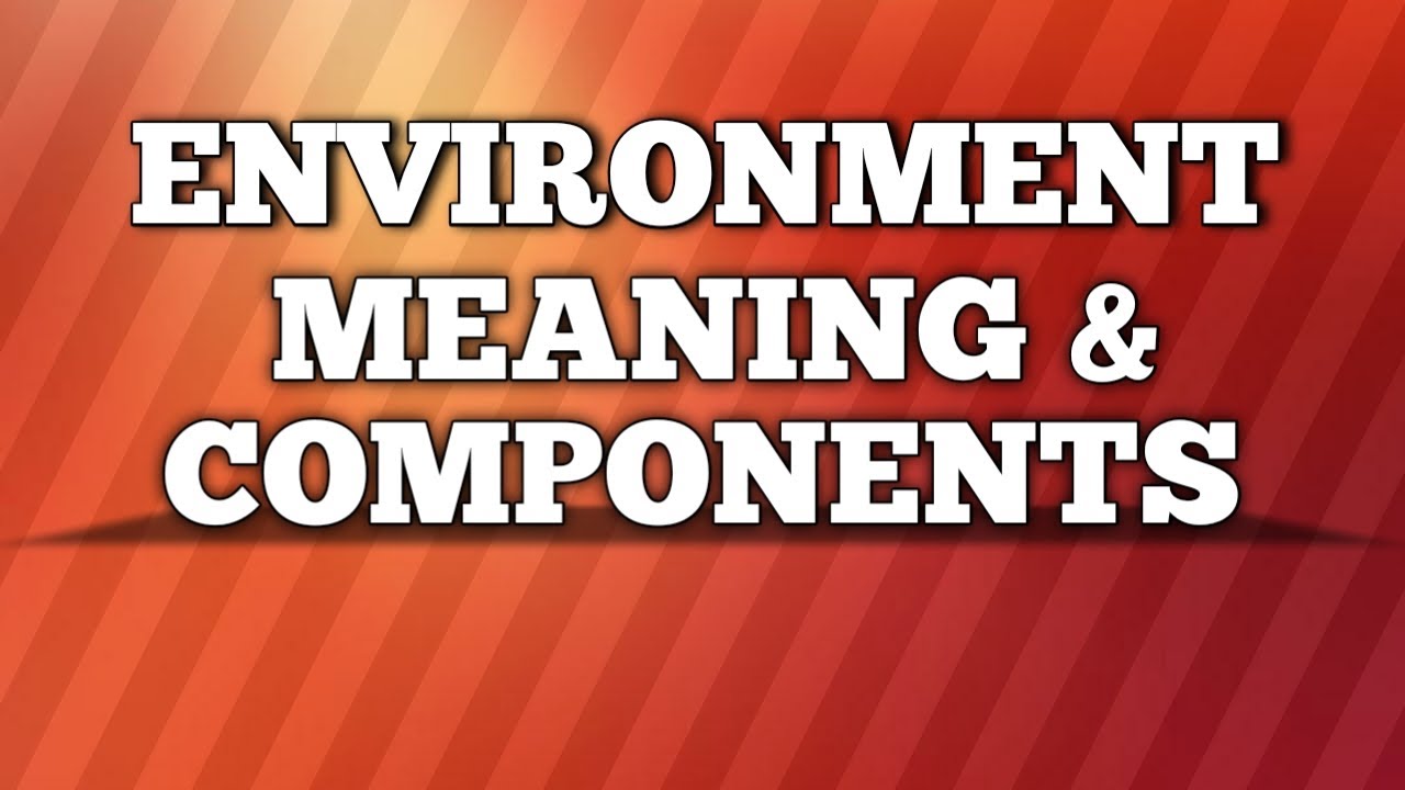 ENVIRONMENT : MEANING AND COMPONENT.. - YouTube