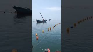 Ship crane service available now!Professional &amp; reliable port marine crane support.