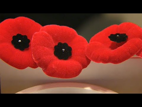 A look back at 100 years of the poppy in Canada
