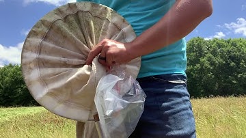 How to Collect Insects with a Sweep Net