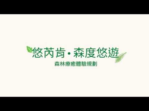悠芮肯森度悠遊_森林療癒介紹