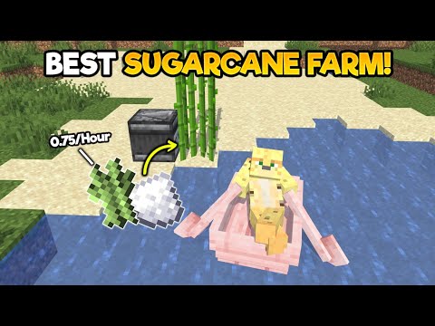 Worlds Most Efficient Sugar Cane Farm - YouTube